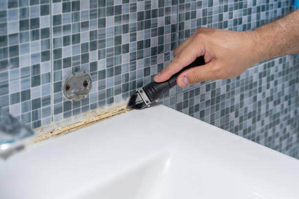 Best Mold Cleaning Services  in Wahese, NC
