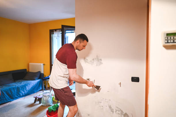 Best Black Mold Removal  in Wahese, NC